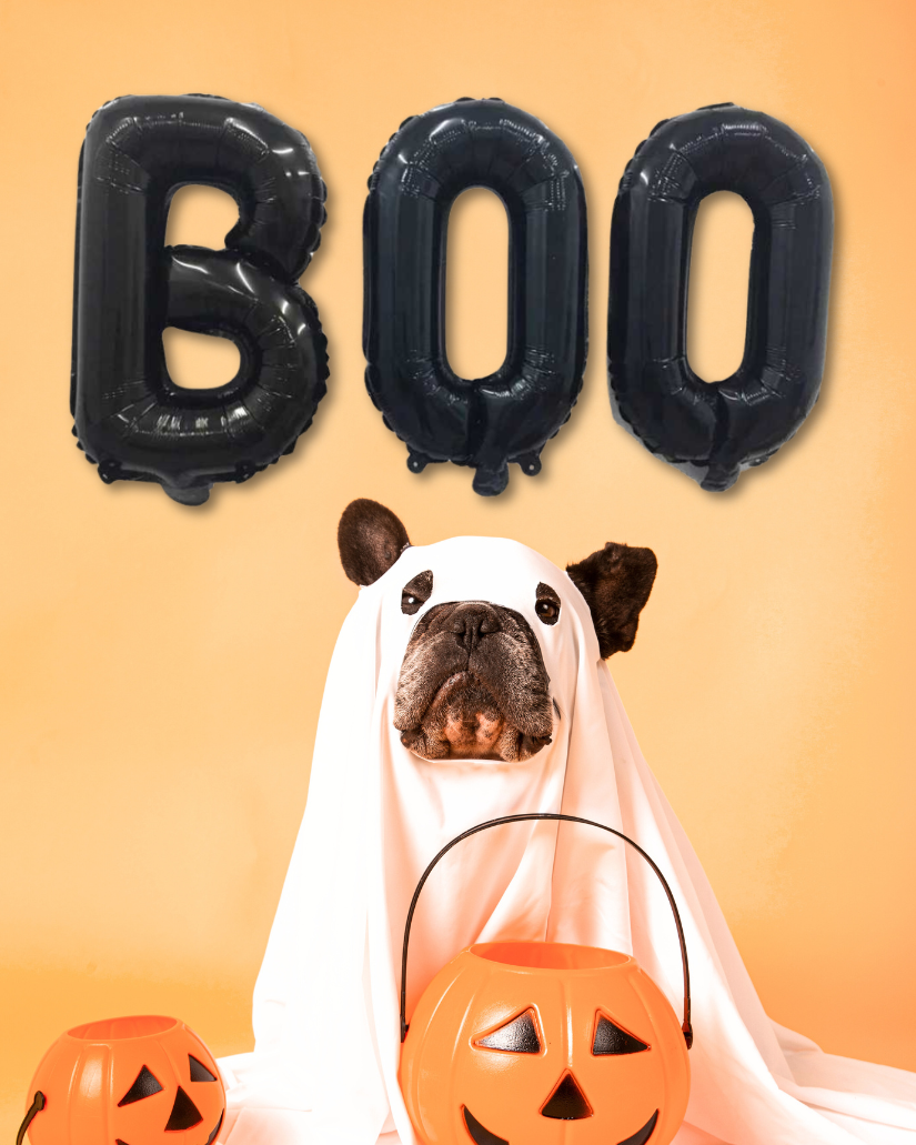 "Boo" Foil Balloons - Black