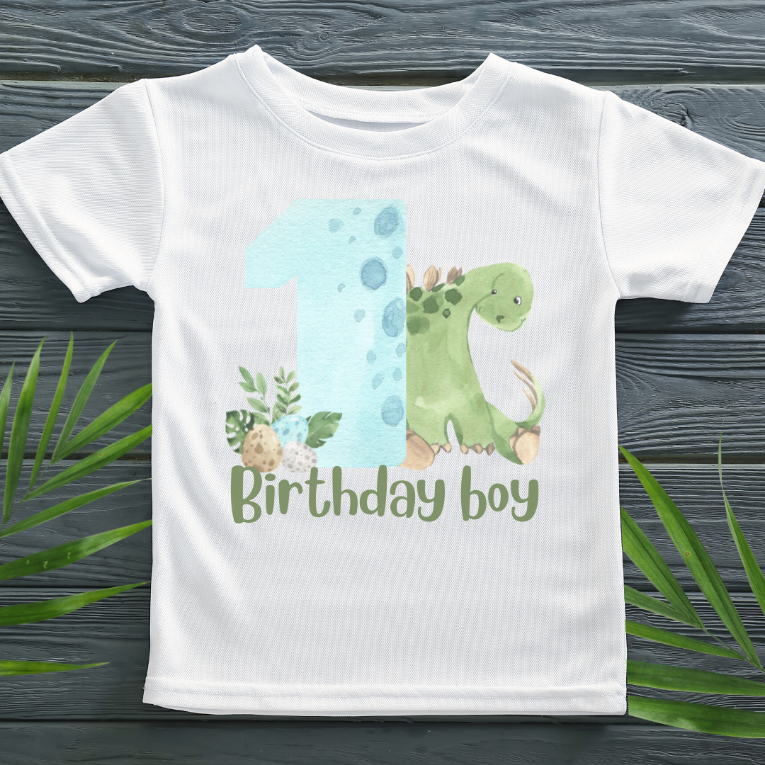 1st birthday dinosaur store shirt